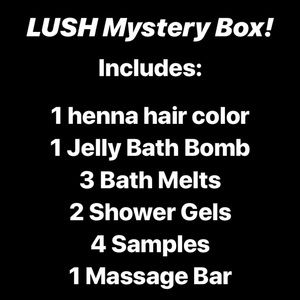 LUSH Cosmetics MYSTERY BOX!  12 products included